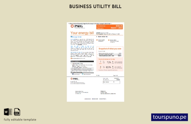 listo para imprimir la factura comercial de servicios públicos PSEG de Nueva Yor